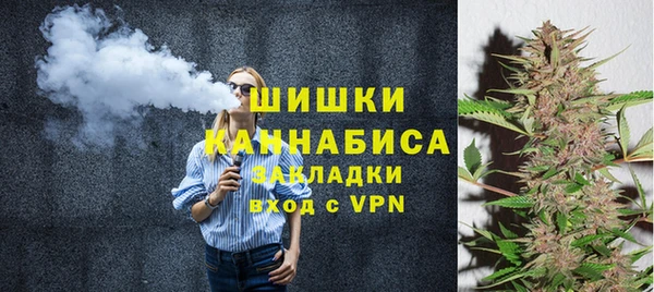 стаф Бородино