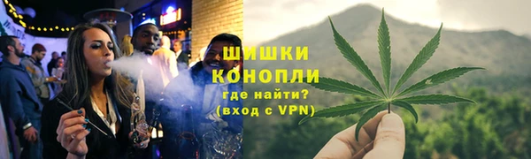 стаф Бородино
