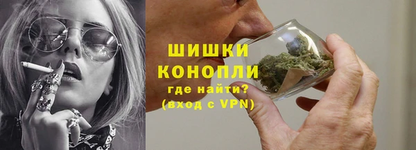 стаф Бородино
