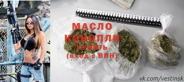 стаф Бородино