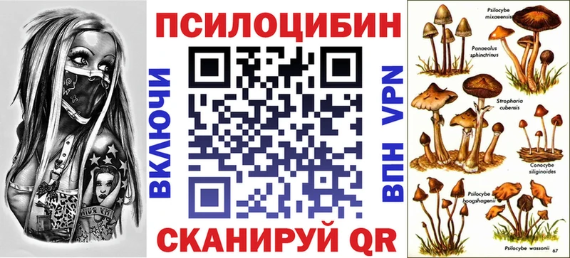 Псилоцибиновые грибы MAGIC MUSHROOMS  Купить где  Пестово 