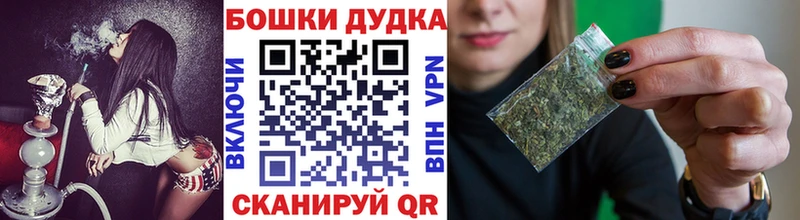 Купить  Пестово  Канабис сатива 